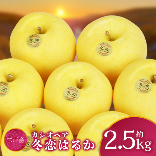 二戸産 カシオペア 冬恋はるか 約2.5kg [2026年12月上旬-下旬発送予定] 002-0746x1