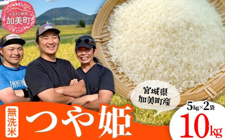 無洗米 令和8年産 つや姫 10kg 無洗