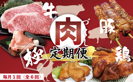 6回 定期便 牛・豚・鶏が月替わりで届く!肉づくし定期便 国産 高知 四万十 四万十市 鶏肉 チキン 肉 もも肉 四万十鶏 しまんと グルメ 牛 牛肉 ビーフ サーロイン ロース ローストチキン 豚 はらみ 39210