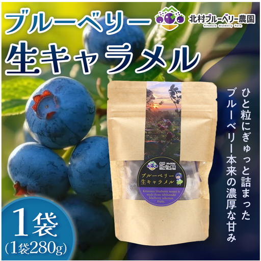 ＜ 先行予約 ＞ ブルーベリー 生キャラメル 280g 無添加 摘みたて 自然栽培 手作り 果実 100% キャラメル アントシアニン トッピング 石巻市産 宮城県 石巻市
