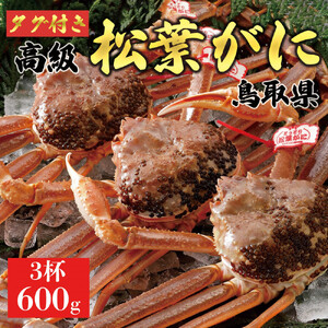 【2026年11月発送】特撰 松葉がに（なま）【ブランドタグ付き】600g超のサイズ  3杯