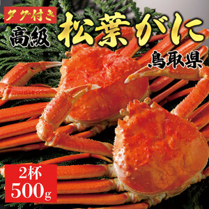 【2026年11月発送】特撰 松葉がに（茹）【ブランドタグ付き】500g超のサイズ  2杯