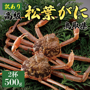 【2026年11月発送】特撰 松葉がに（なま）【訳あり】500g超のサイズ  2杯