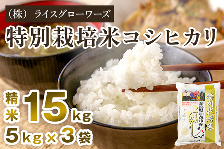 【令和8年産新米先行予約】新潟県加茂市産 特別栽培米コシヒカリ 精米15kg（5kg×3）《10月上旬～順次出荷》 （株）ライスグローワーズ