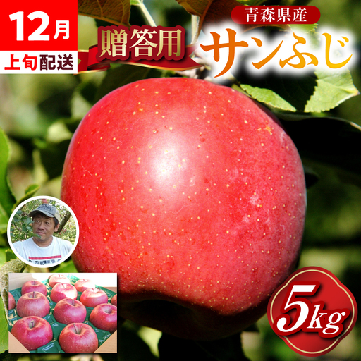 [2026年12月上旬発送] 贈答用 りんご 約 5kg サンふじ 青森県産 五所川原 [金賞受賞歴有!]