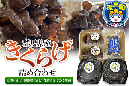 きくらげ 詰め合わせセット 群馬県産[生きくらげ 乾燥きくらげ つくだ煮]3種 計5個