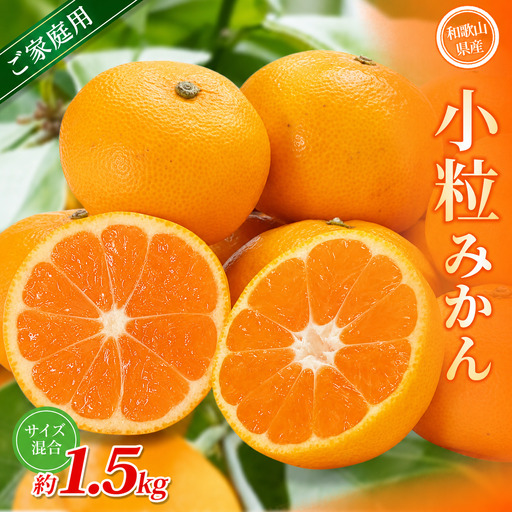 小粒みかん 約1.5kg[家庭用] 森本農園の手選別 和歌山県産 [BV-mrmt060]