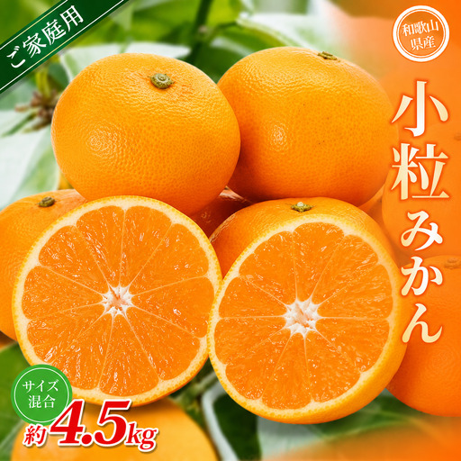 小粒みかん 約4.5kg 【家庭用】 森本農園の手選別 和歌山県産【BV-mrmt061】