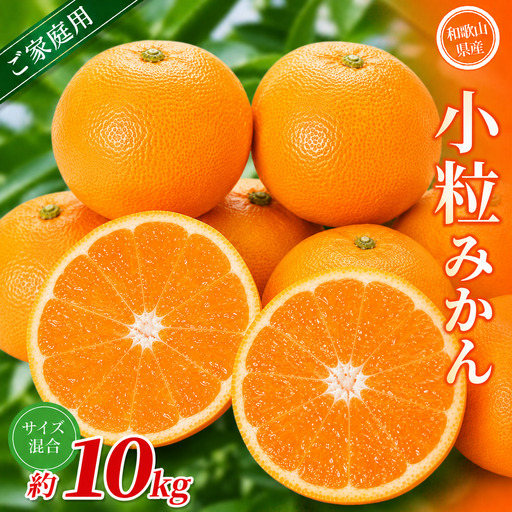 小粒みかん 約10kg 【家庭用】 森本農園の手選別 和歌山県産 【BV-mrmt064】