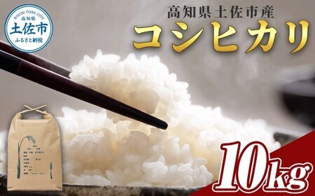 令和8年産新米 コシヒカリ 約10kg 高知県土佐市 【有限会社サクセス】 [BQBA005]