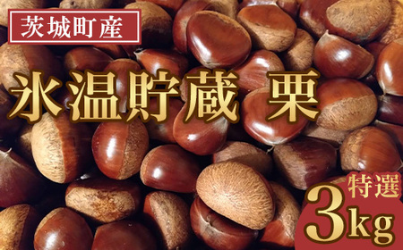 693 氷温貯蔵 栗 特選 3L 3kg[海老澤農園]