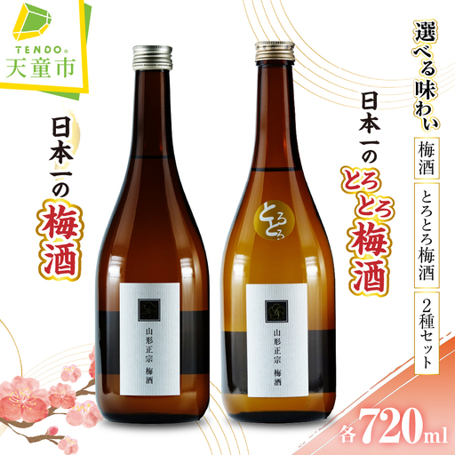 日本一の梅酒 セット 720ml 2本 水戸部酒造 山形 地酒