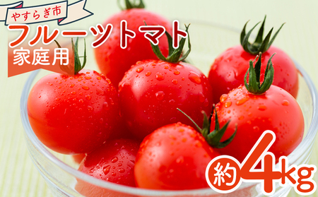 【2027年1月以降発送】フルーツトマト ４ｋｇ 家庭用 yr-0069