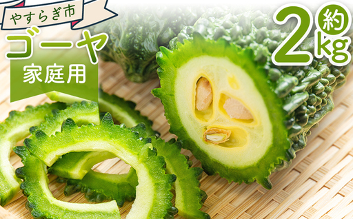 [2026年10月以降順次発送]ゴーヤ 2kg 家庭用 yr-0074
