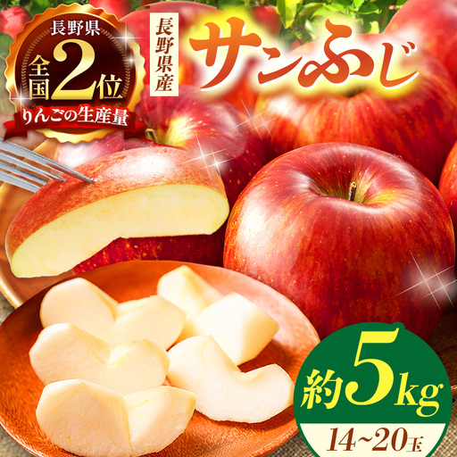 【先行受付】 信州産　サンふじ約5kg (14～20玉)