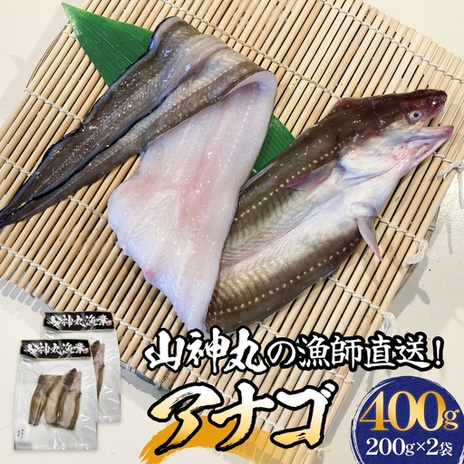 アナゴ 2パック 穴子 あなご 魚介 魚介類 海鮮 下処理済 直送 新鮮 冷凍 焼き物 煮付け フライ