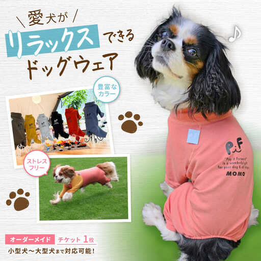 オーダメイド ドッグウェア / 犬 ペット服 ペットウェア / 諫早市 / 株式会社美泉[AHAP045]