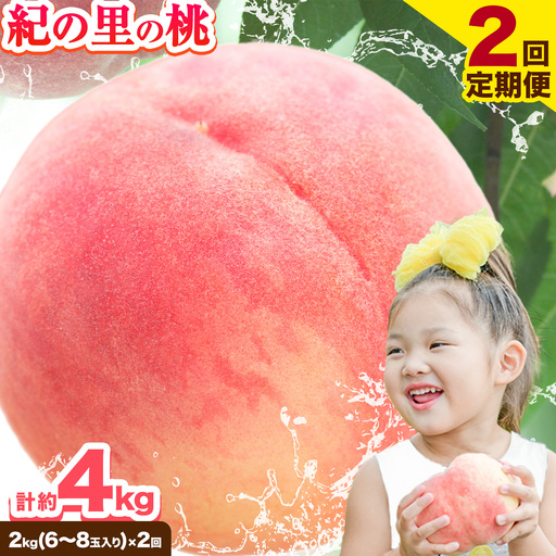 桃 紀の里の桃【2回定期便】約2kg×2回