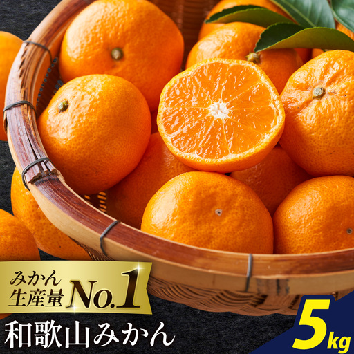 みかん ご家庭用みかん 約5kg