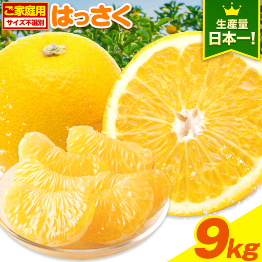 訳あり はっさく八朔 約9kg