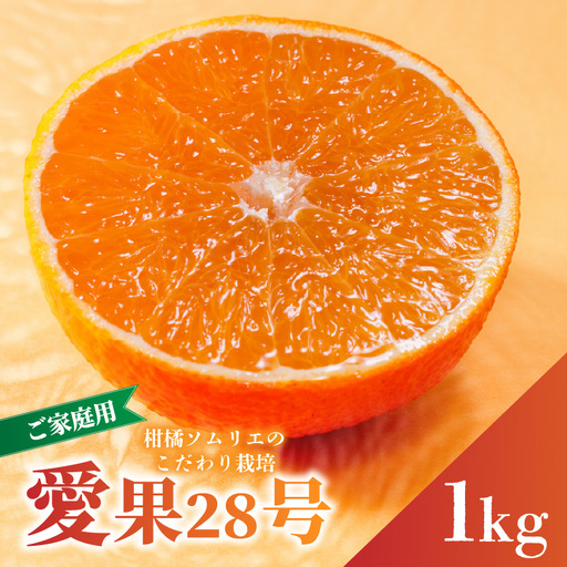 【紅まどんなと同品種】愛果28号 家庭用 お試し 1kg まどんな 【先行予約 2026年11月下旬より順次発送】 【RNK024】