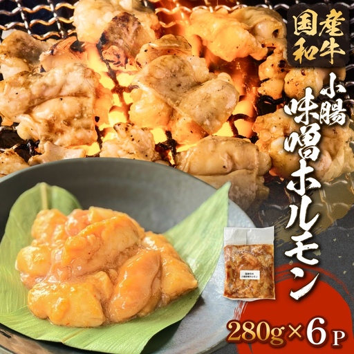 黒毛和牛 味噌 ホルモン 6P 味噌ホルモン 牛ホルモン 小腸 国産 宮城県産 味付 モツ 和牛 肉 お肉 牛肉 牛 内臓 宮城県 石巻市