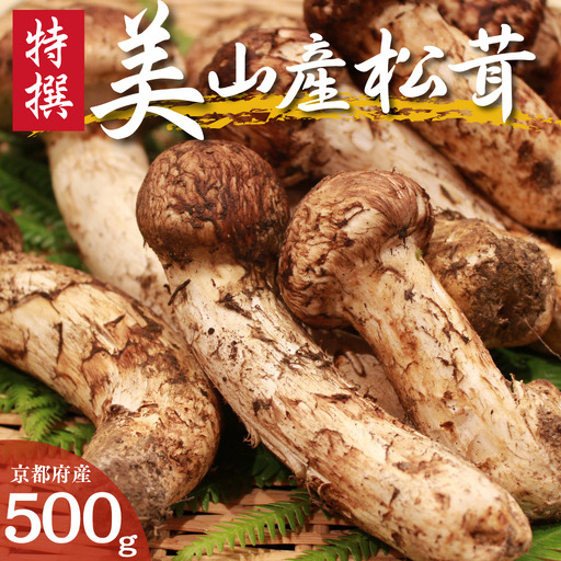 松茸 数量限定 京都 丹波産 天然 松茸