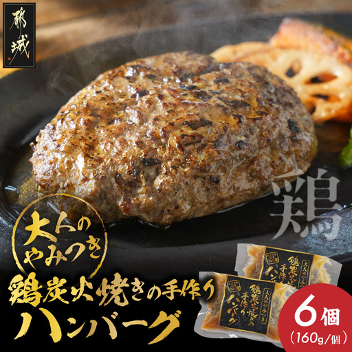 鶏炭火焼きの手作りハンバーグ6個〔16-N6-001-6〕_(都城市) 国産鶏 炭火焼 宮崎県産鶏肉 お手軽 炭火焼ハンバーグ 真空 個包装調理済 時短 湯煎 手作り ギフト 贈答用にも