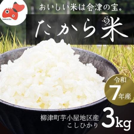 【令和7年産】奥会津のきれいな水で大切に育てた「たから米」【3kg】【1679649】