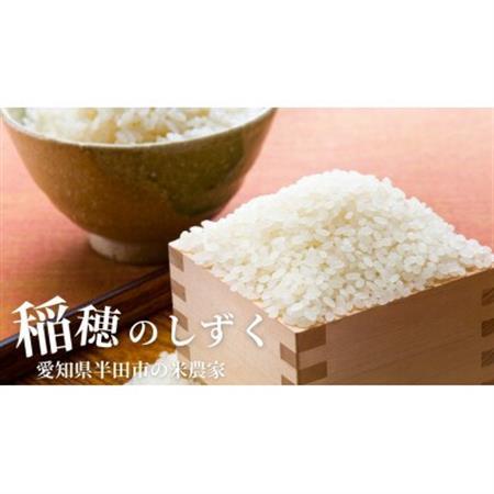 令和7年産　稲穂のしずく　白米　10kg【1677344】