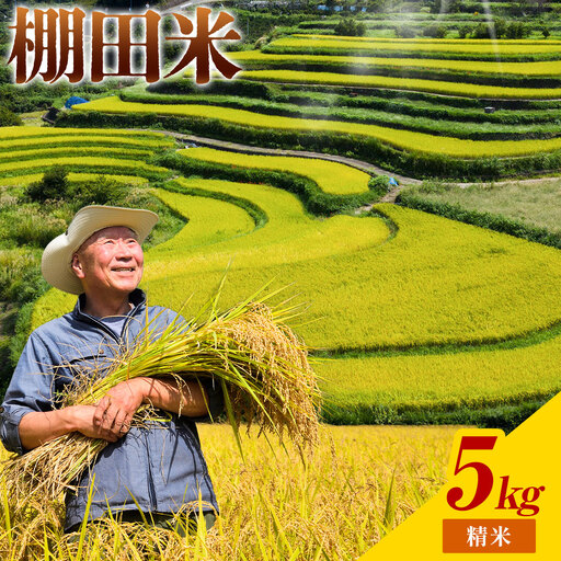 棚田米 精米 5kg 米