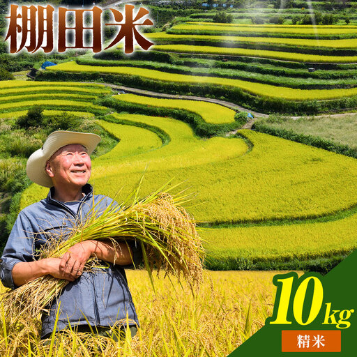 棚田米 精米 10kg 米