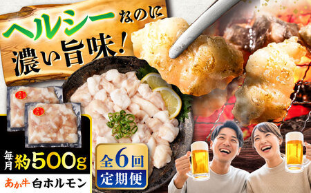 全6回定期便 あか牛白 ホルモン 約500g ホルモン BHCY011