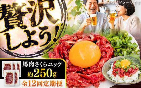 全12回定期便 馬肉さくら ユッケ 約250g ユッケ BHCY032