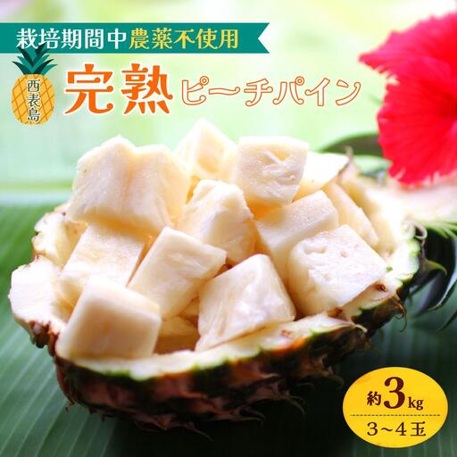 2027年 先行予約 西表島の完熟ピーチパイン 3kg (3〜4玉)[嘉本商店 完熟 果物 フルーツ]お届け:5月中旬〜6月中旬頃[042-a003]