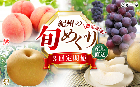 [全3回]紀州和歌山産旬のフルーツ定期便 (桃・梨・ピオーネ) / フルーツ 柑橘 和歌山 もも モモ 梨 なし ぶどう 葡萄 シャインマスカット ピオーネ 紫苑 [tkb424]
