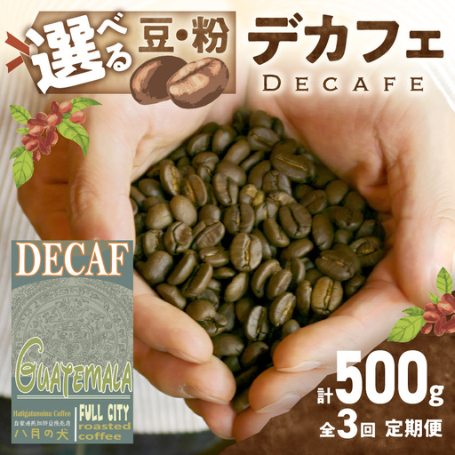 【コーヒー豆定期便全3回】【デカフェ】グアテマラカフェインレスコーヒー豆 隔月250g×2