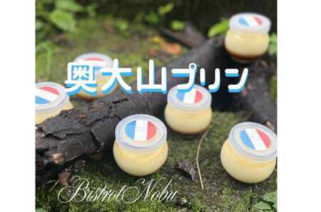 奥大山プリン ６個入り ビストロノブ ミシュラン ビブグルマン　1192