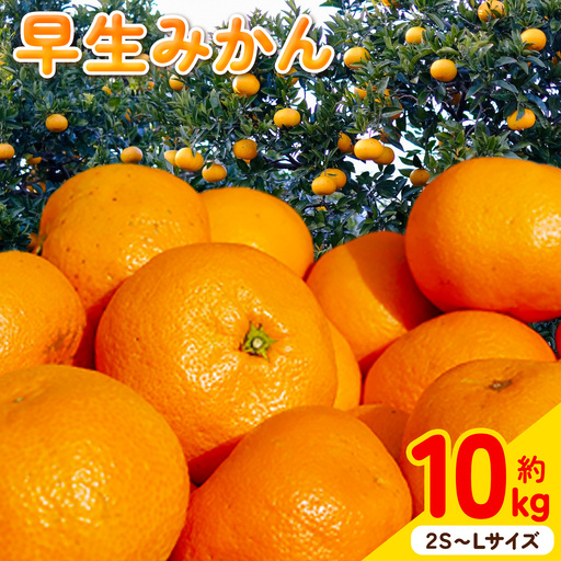 [ふるなびWEEK対象]早生みかん 2S〜Lサイズ 約 10kg