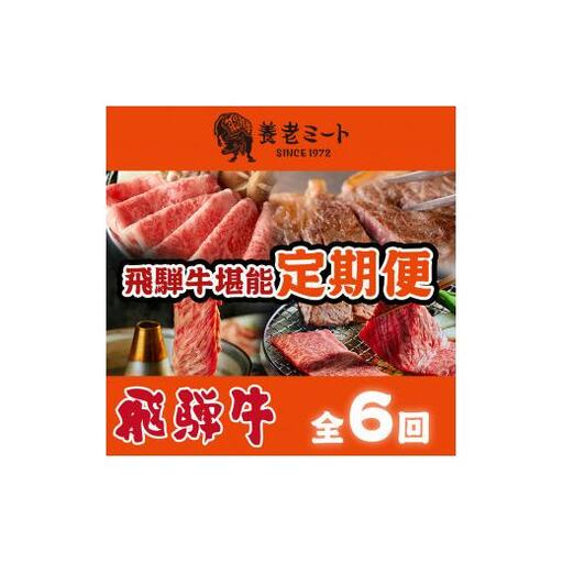 【6か月定期便】月替わりで色々な飛騨牛を楽しめる全6回