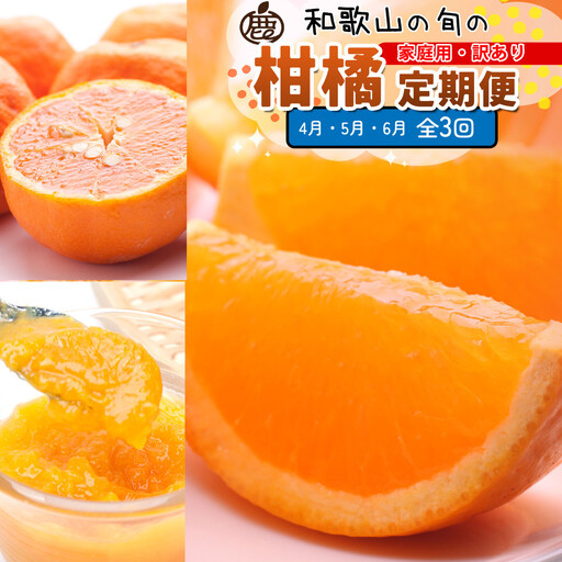 家庭用 柑橘定期便S（4～6月）全3回 ［IKE304］
