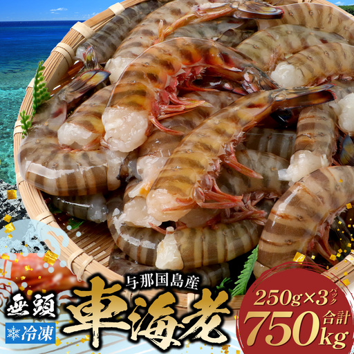 こだわりの車海老 無頭車海老(冷凍)250g×3パック F010|沖縄県 与那国町 与那国 車海老 車エビ 海老 えび エビ 産地直送