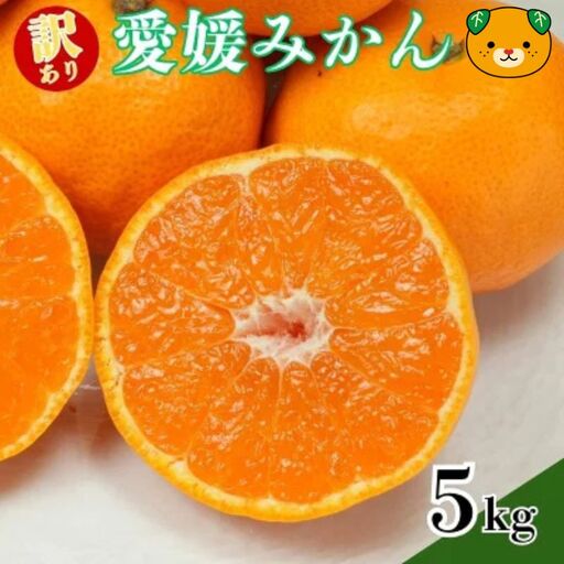 【先行予約：2026年11月中旬～発送】訳あり愛媛みかん 5kg +傷み保証250g 数量限定 愛南町青果市場組合