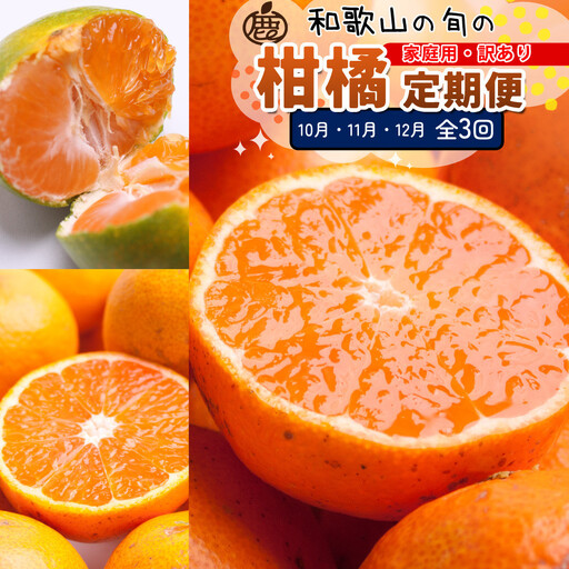家庭用 柑橘定期便S（10～12月）全3回 ［IKE306］