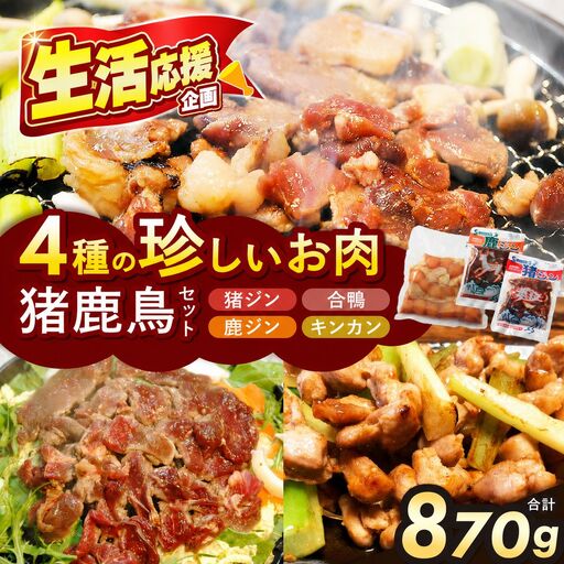 【人気のジビエ】猪鹿鳥セット ジビエ 信州 猪 猪肉 馬 鹿 ジビエの聖地 遠山ジンギス 長野県 南信州 天龍村