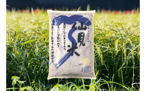 [令和7年産]特別栽培米コシヒカリ 仙見米 10kg(5kg×2袋) 村松産 | 新潟県産 白米 米 五泉市