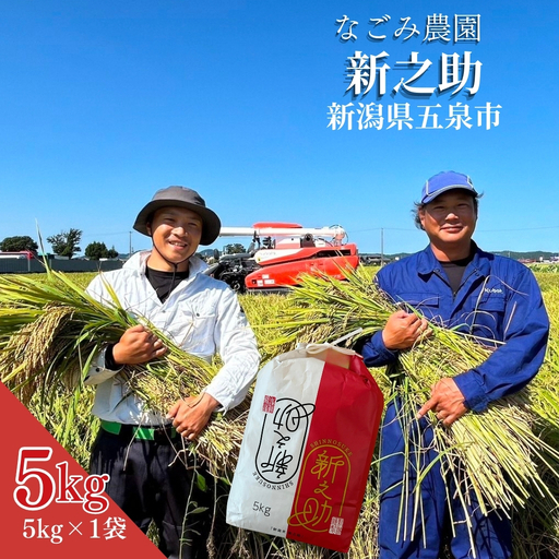 【令和8年産 先行予約】新之助 5kg 精米 なごみ農園 五泉市 新潟県産｜新米 新之助