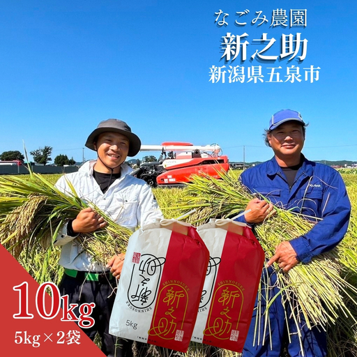 【令和8年産 先行予約】新之助 10kg 5kg×2袋 精米 なごみ農園 五泉市｜新米 新之助