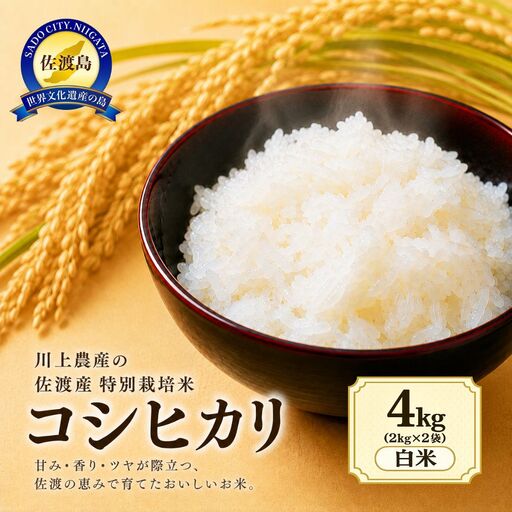 令和8年産 佐渡産コシヒカリ 4kg(2kg×2袋)精米 川上農産