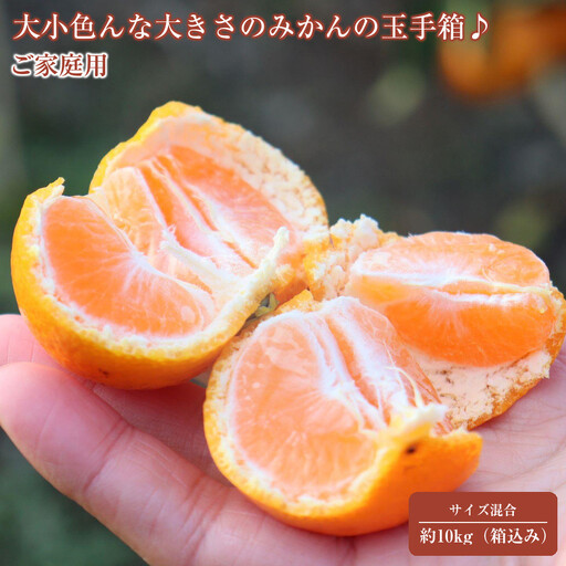 12/25までにご入金確認分は年内発送確定!開けてびっくり!大小色んな大きさのみかんの玉手箱♪ ご家庭用 箱込み約10kg(2S〜3L以上サイズ混合)